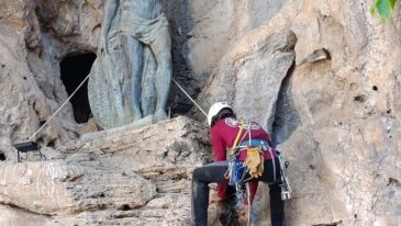 WhatsApp Image 2025-10-31 at 17.19.35